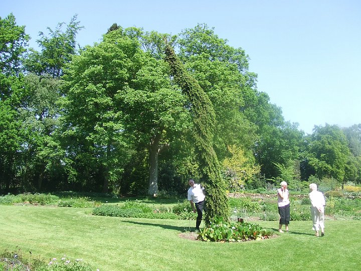 DSCF5091.JPG